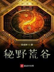 荒野迷踪什么意思